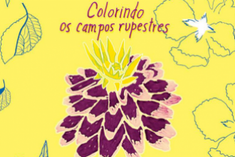 Colorindo os campos rupestres: alfabetização ecológica na educação infantil de Itamarandiba - Minas Gerais